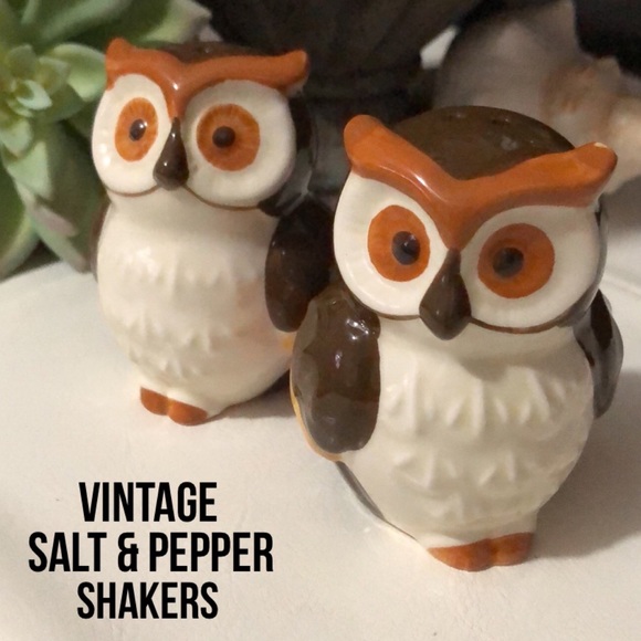 Vintage Other - Vintage Owl Salt & Pepper Shakers-Ceramic-Perfect Condition